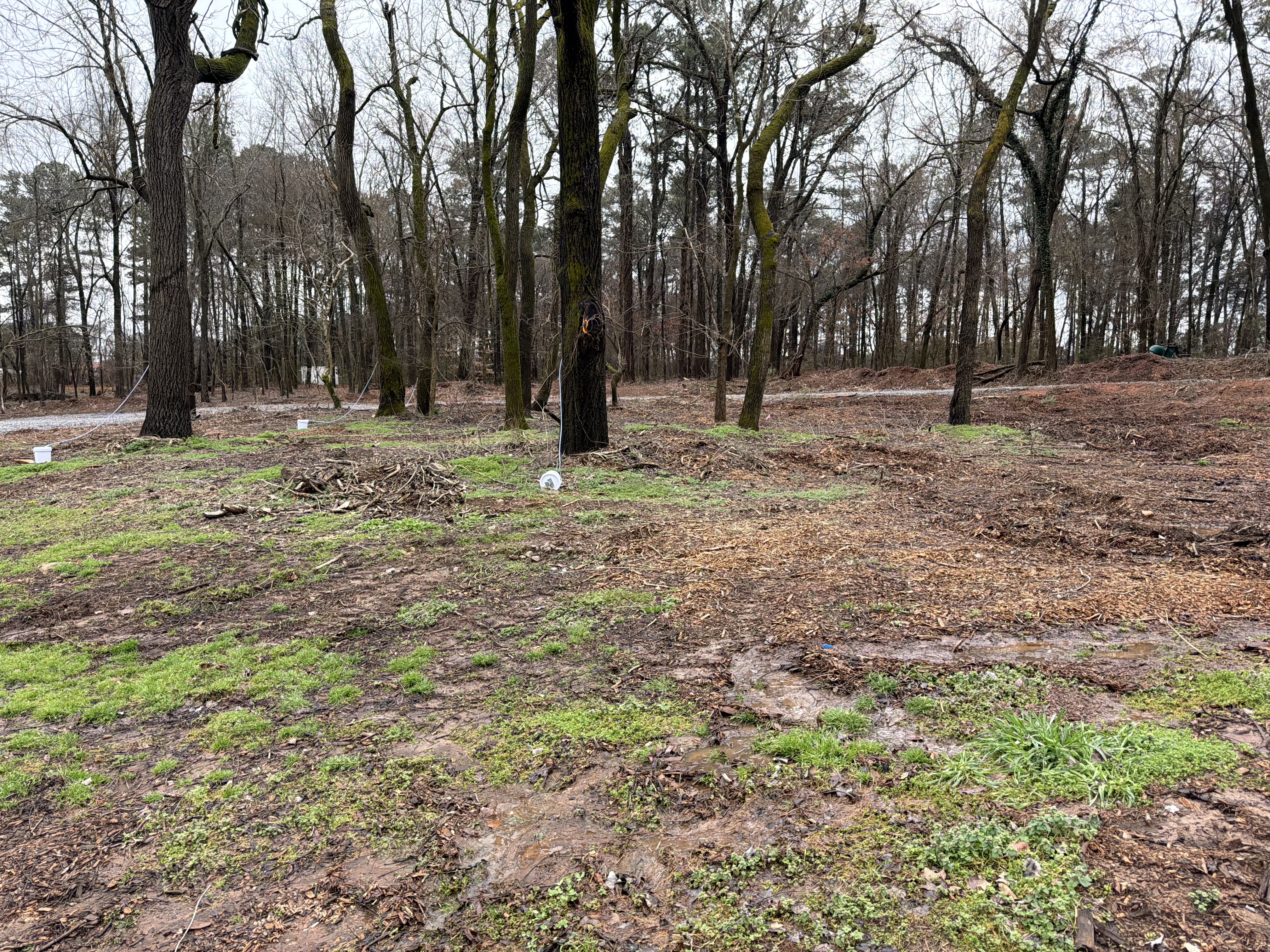 Low-Cost Soil-Health Sensing